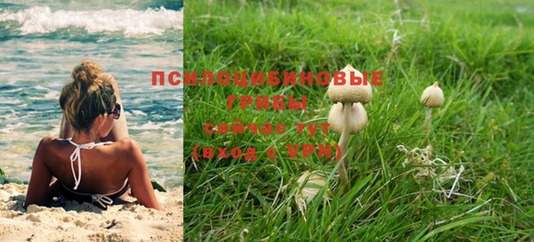 ешки Белокуриха