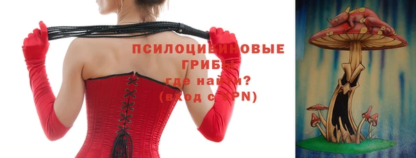 трава Беломорск