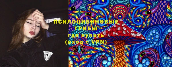 ешки Белокуриха