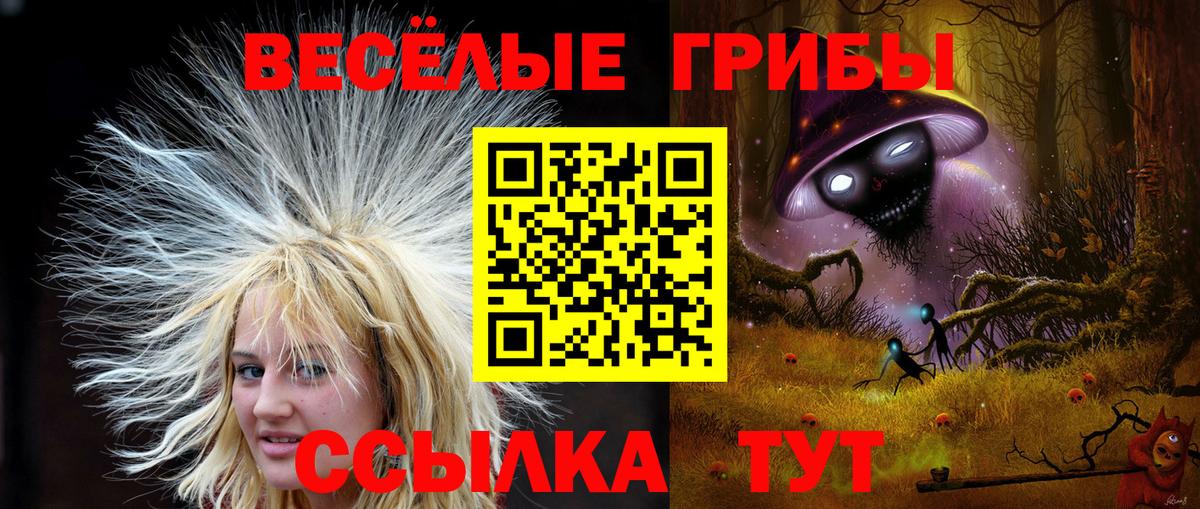 Улан-Удэ  Галлюциногенные грибы Magic Shrooms  Галлюциногенные грибы ЛСД  Вход с VPN 