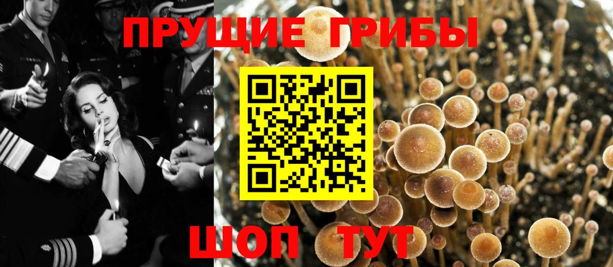 Псилоцибиновые грибы ЛСД Улан-Удэ